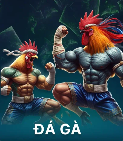 11WIN Đá gà